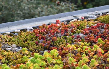 the cost of Sampford Courtenay green roof installation